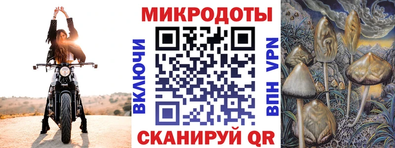 Галлюциногенные грибы Psilocybe  цены   OMG ссылка  Дербент 