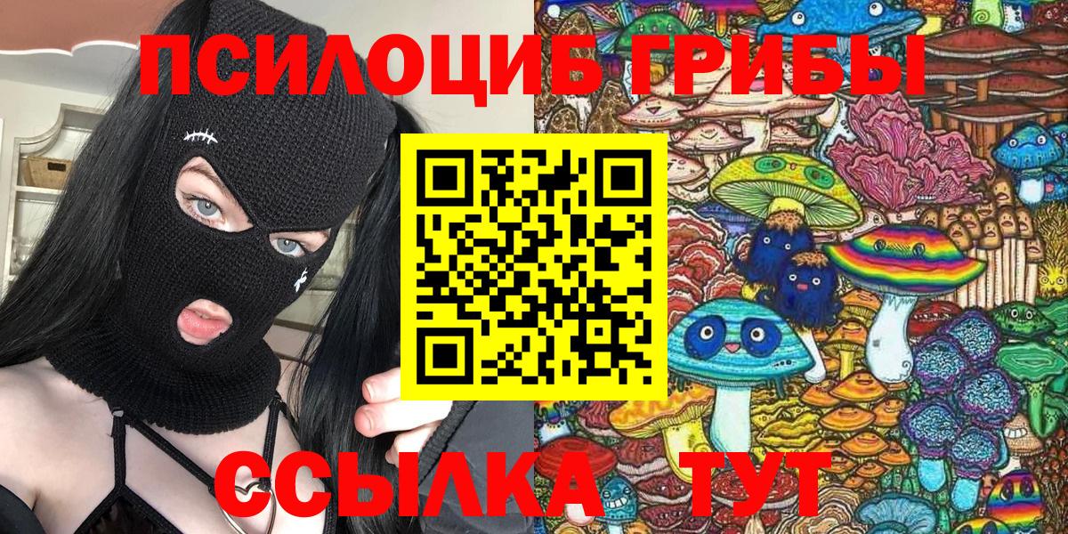 Псилоцибиновые грибы Psilocybine cubensis Дербент
