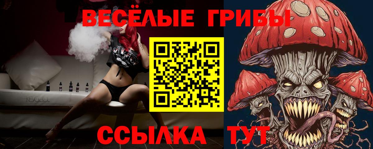 Дербент  Псилоцибиновые грибы MAGIC MUSHROOMS  Вход с VPN 